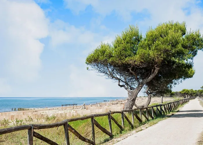 Apartment Great Flat In A Quiet Area *